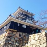 静岡県浜松城の歴史について！浜松城公園でのイベント情報もご紹介！